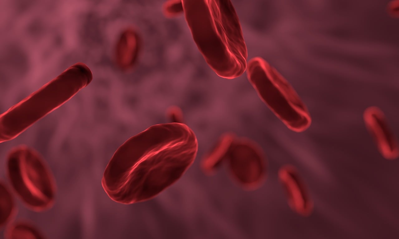 Sel Darah Merah